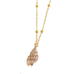 Tropical sea shell neckless